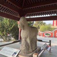 評論圖片 5