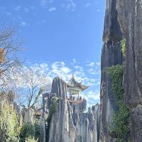 評論圖片 2