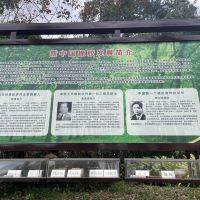 評論圖片 5