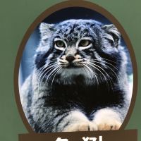 評論圖片 8