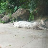 評論圖片 6