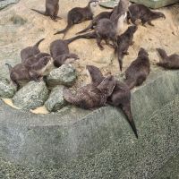 評論圖片 6