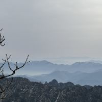 評論圖片 2