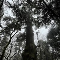 評論圖片 2