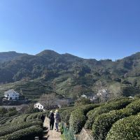 評論圖片 5