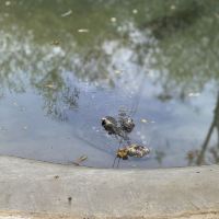 評論圖片 2
