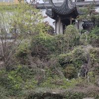 評論圖片 8