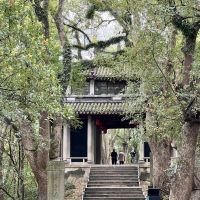 評論圖片 8