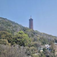 評論圖片 4