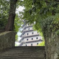 評論圖片 1