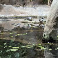 評論圖片 7