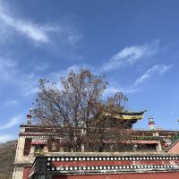 評論圖片 9
