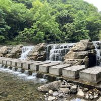 評論圖片 1