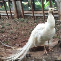 評論圖片 5