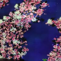 評論圖片 1