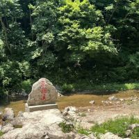 評論圖片 5