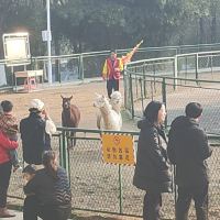 評論圖片 9