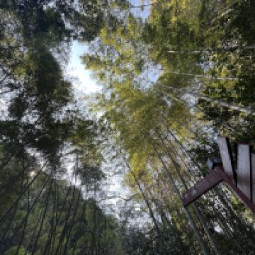 評論圖片 2