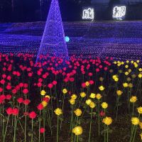 評論圖片 2