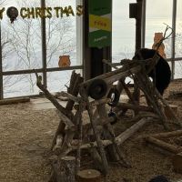 評論圖片 8