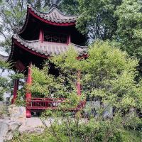 評論圖片 4