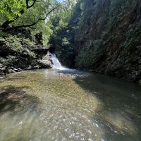 評論圖片 7