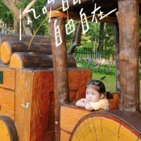 評論圖片 9