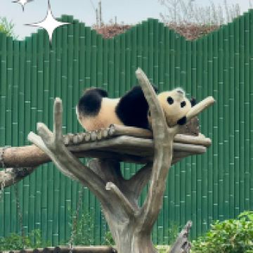 評論圖片 8