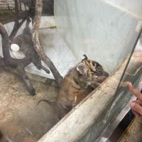 評論圖片 6