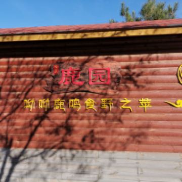 評論圖片 4