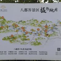 評論圖片 3