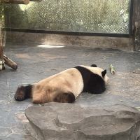 評論圖片 6