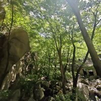 評論圖片 1