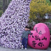 評論圖片 5