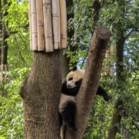 評論圖片 7