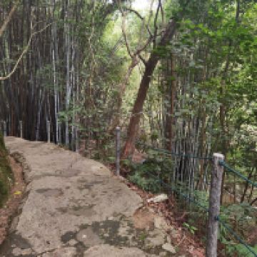 評論圖片 1