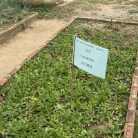 評論圖片 4