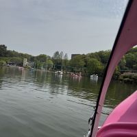 評論圖片 6