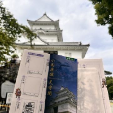 評論圖片 3