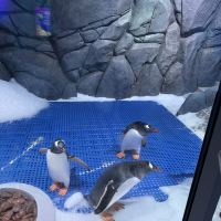 評論圖片 1