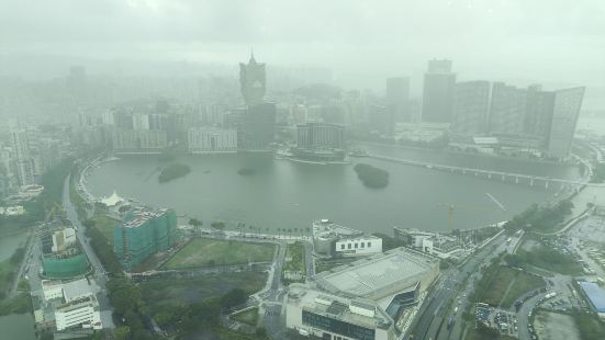 購票很方便，買完可以即時使用，而且比正價門票便宜了數十元，為