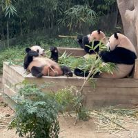 評論圖片 2