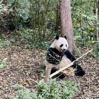 評論圖片 5