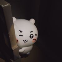 評論圖片 8