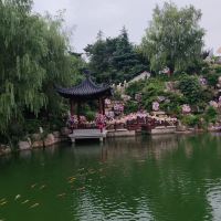 評論圖片 6