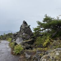 評論圖片 2