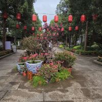 評論圖片 6