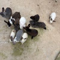 評論圖片 6