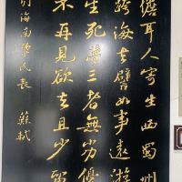 評論圖片 7