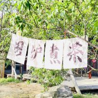 評論圖片 8